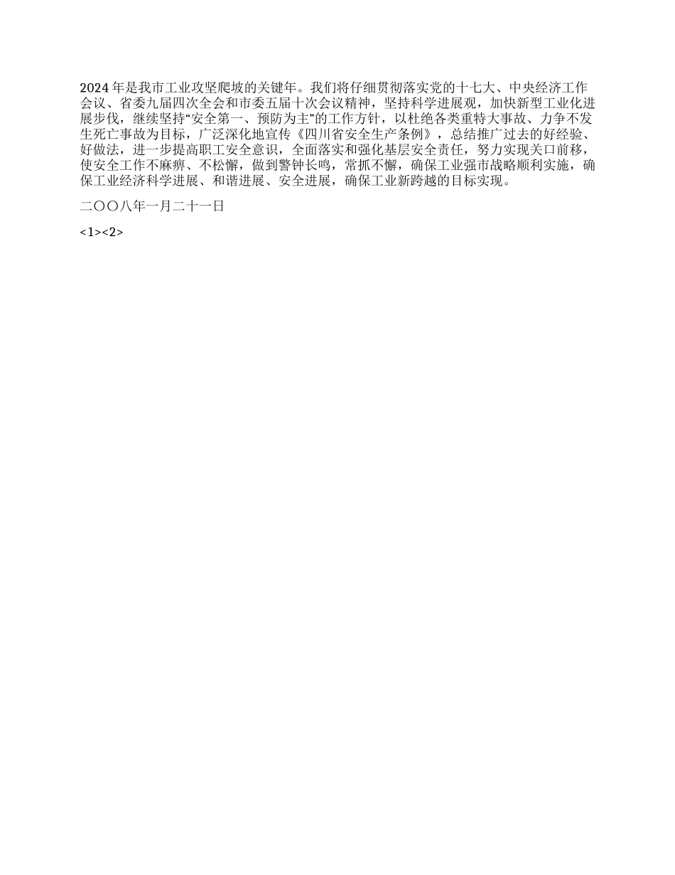 2024年市经委安全工作总结_第2页