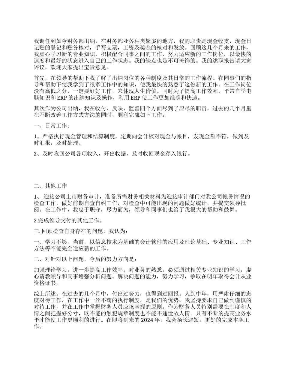 2024年度出纳工作总结_第1页