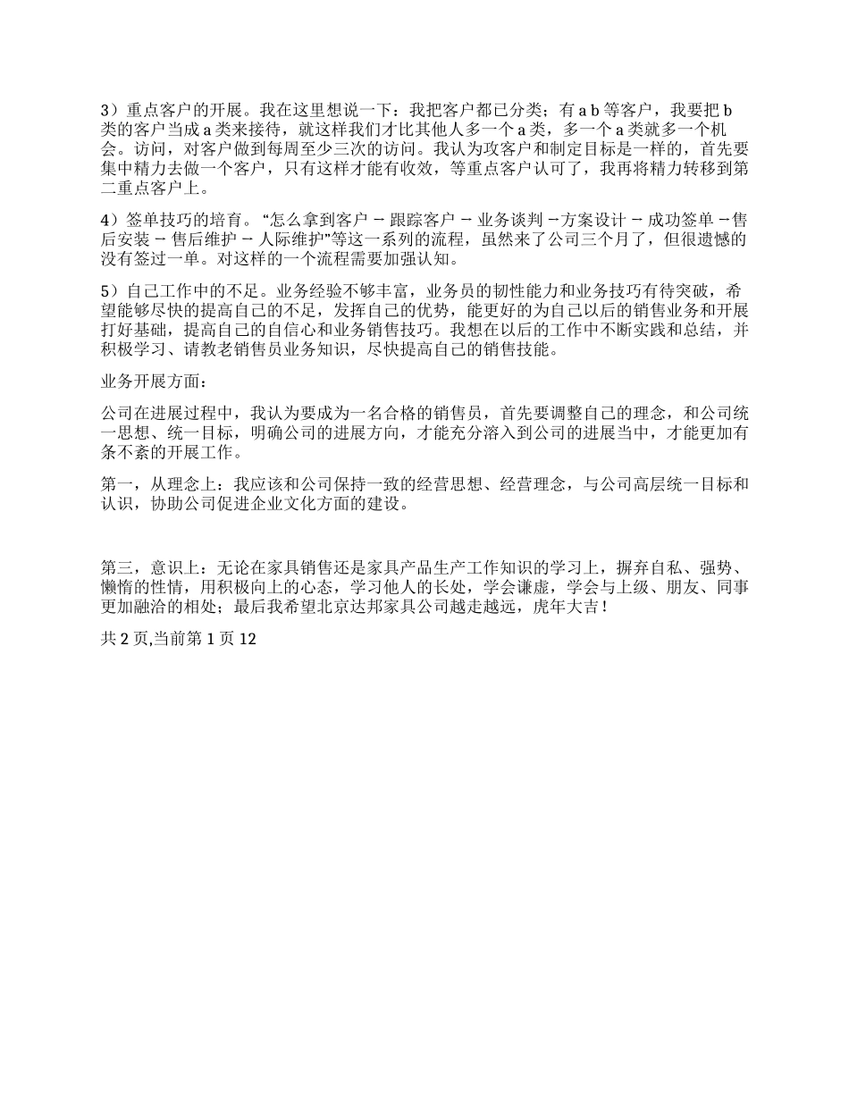 2024年度销售工作总结报告_第2页