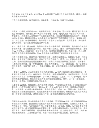 2024年挂职锻炼工作体会