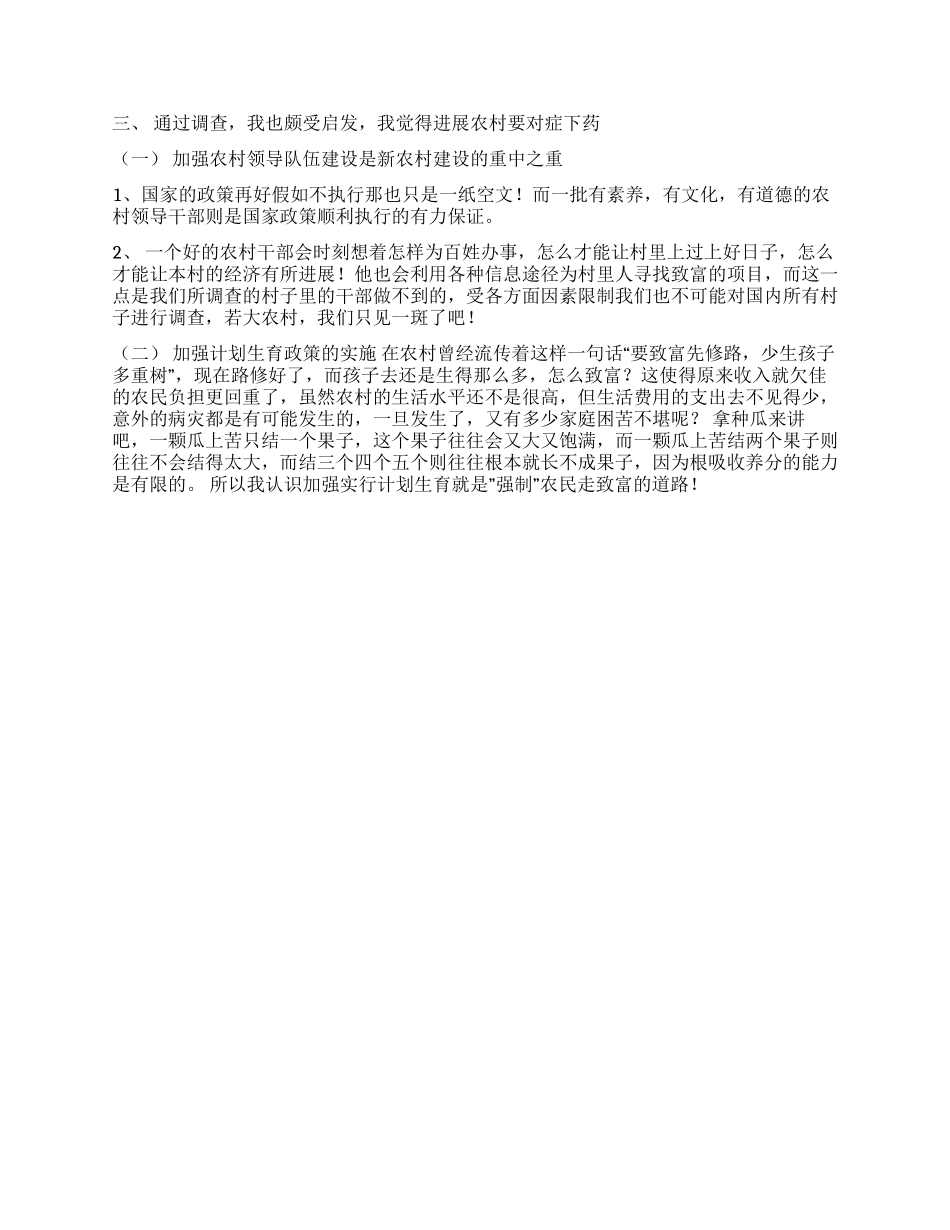 2024年新农村建设实践报告_第2页