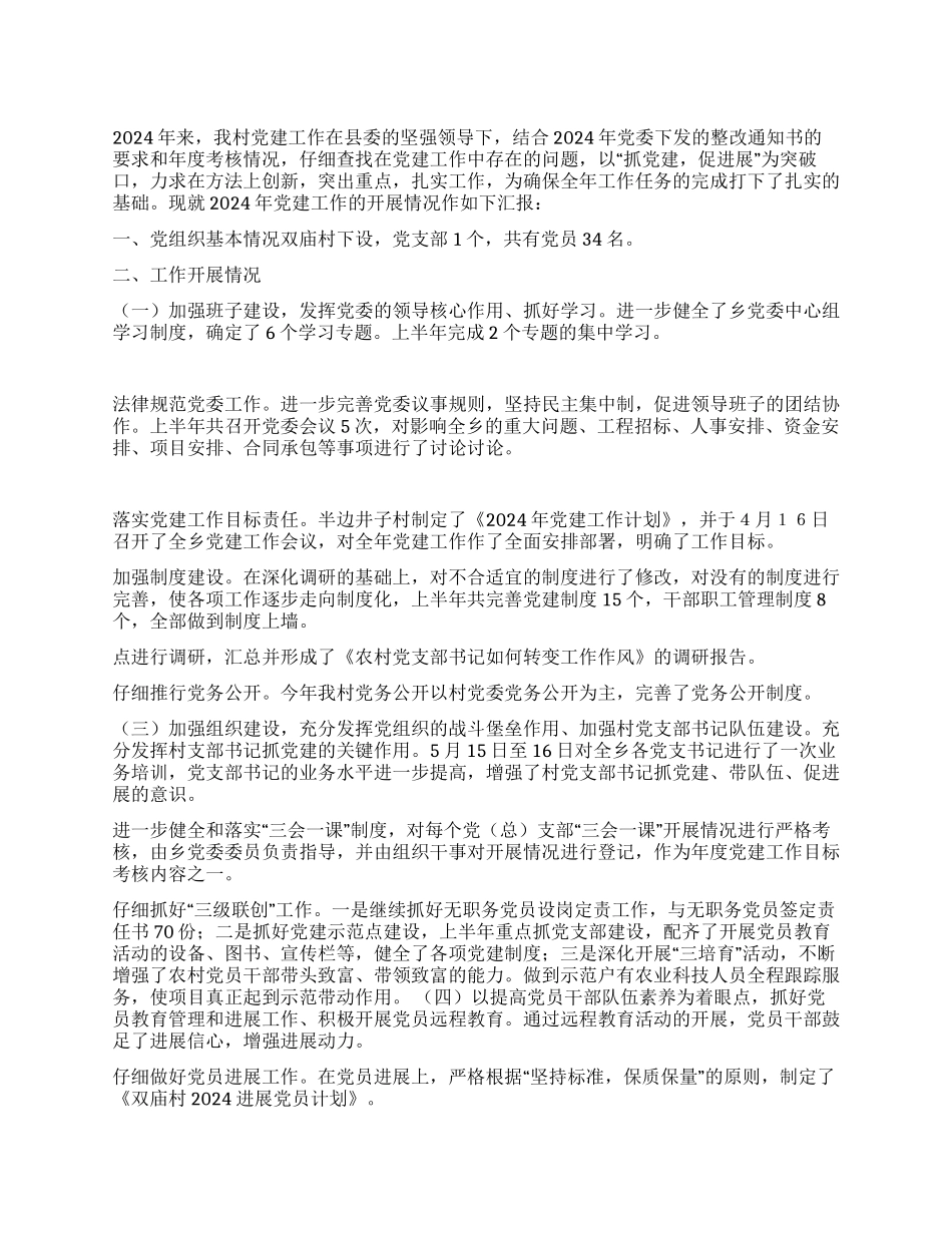 2024年村级党建工作总结_第1页