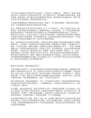 2024年村官寒假社会实践总结报告