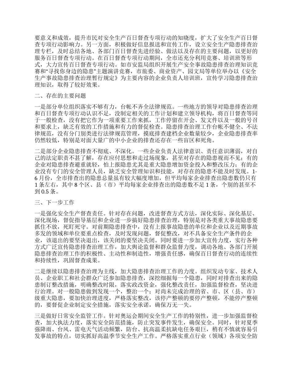 2024年某市安全生产百日督查专项行动总结_第2页