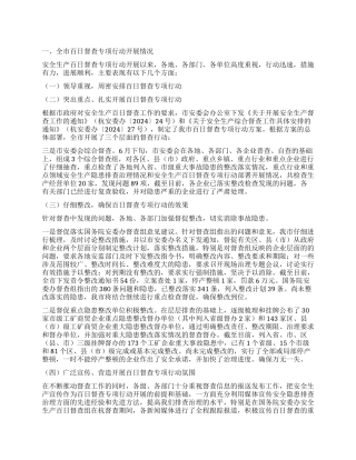 2024年某市安全生产百日督查专项行动总结