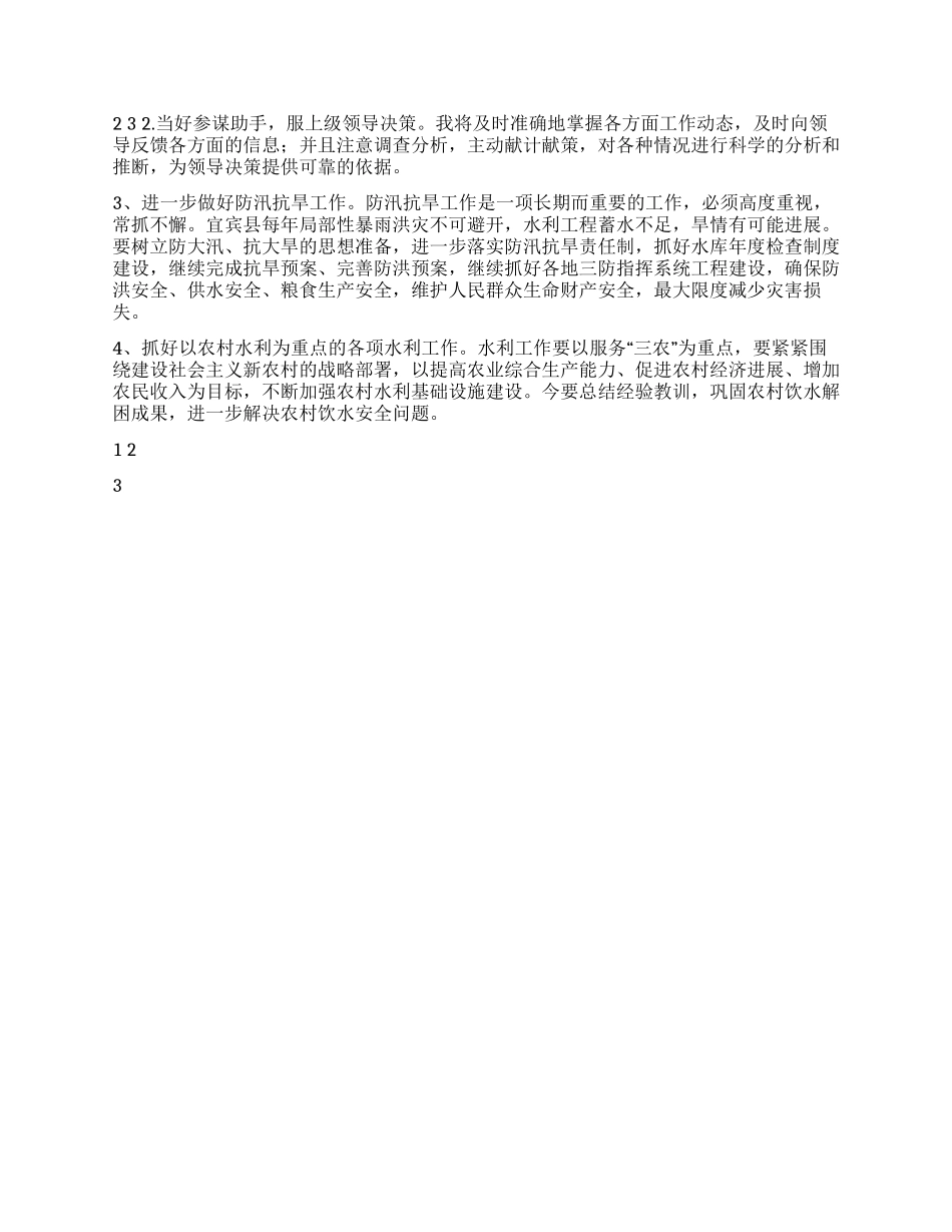 2024年水利局个人工作总结_第2页