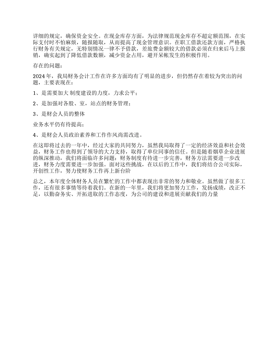 2024年烟草财务工作总结_第2页