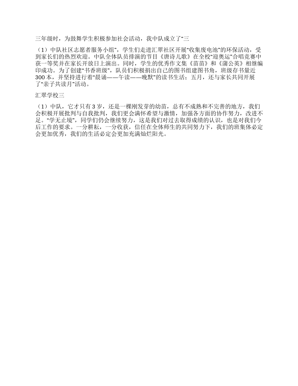 2024年申报市少先队“红旗中队材料_第2页