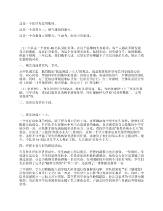 2024年申报市少先队“红旗中队材料