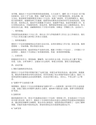 2024年红十字会工作总结