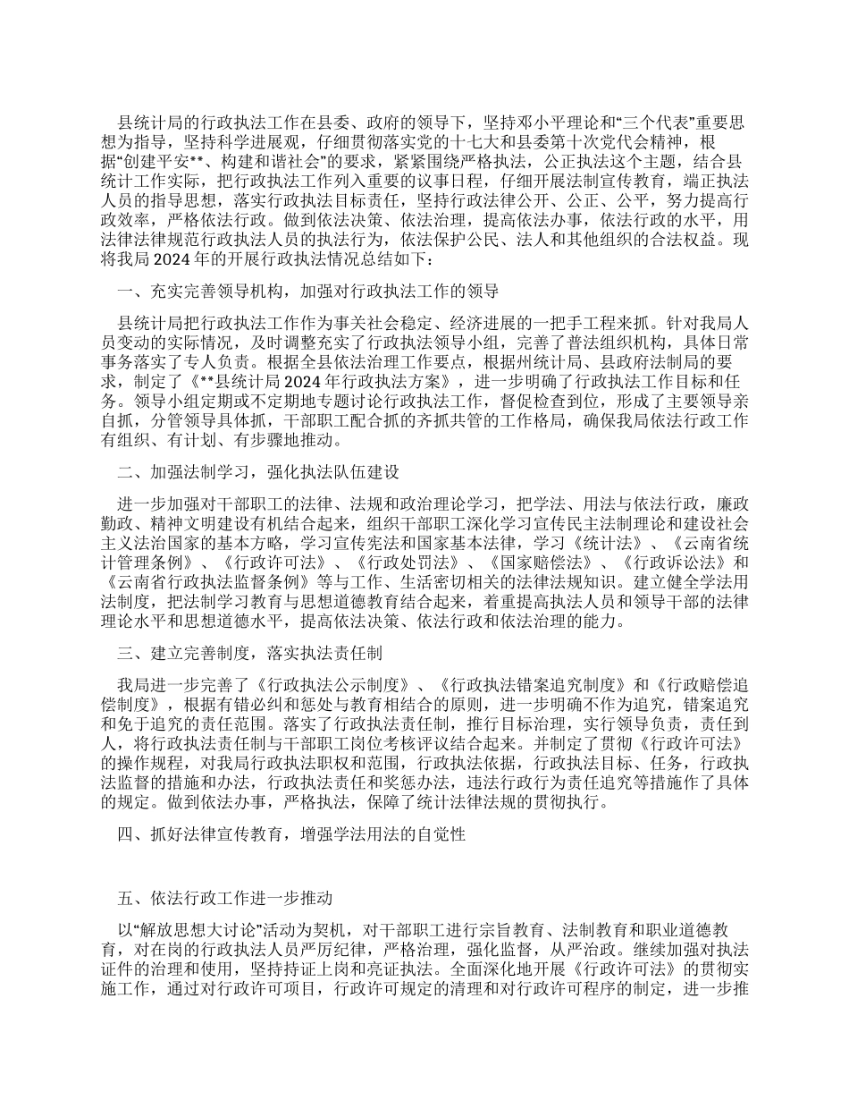 2024年统计局行政执法工作总结_第1页