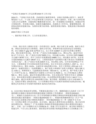 2024年统计工作年终总结