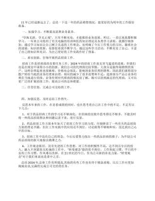 2024年药品销售工作总结范文