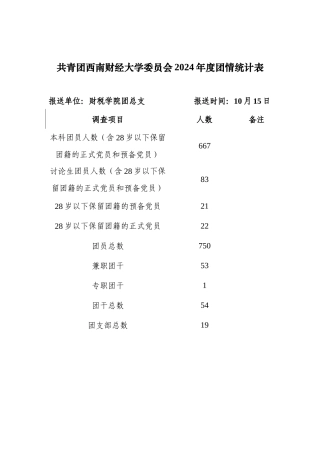 2024财税学院团情统计表