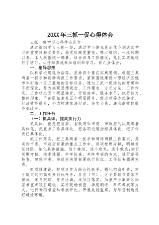 20XX年三抓一促心得体会