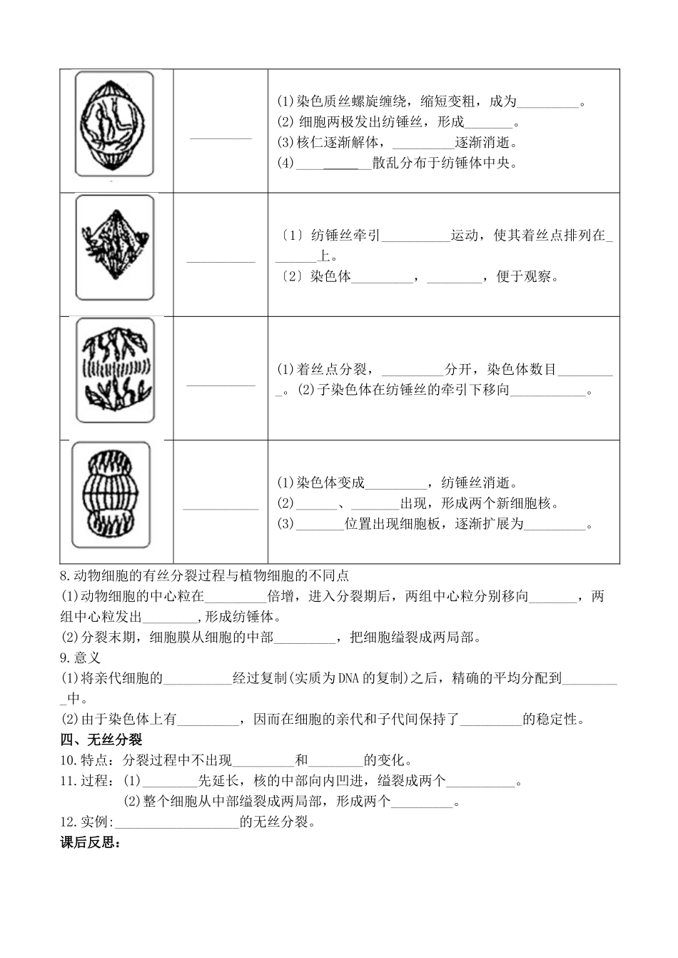 24第六章细胞的生命历程有丝分裂_第2页