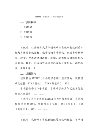 2XX项目实施方案