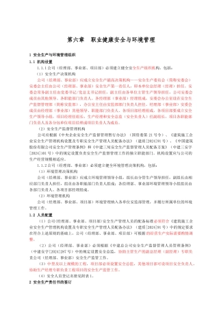 6职业健康安全环境管理1010修改