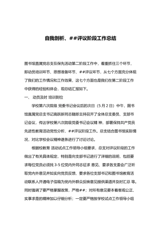 apl.自我剖析、民主评议阶段工作总结