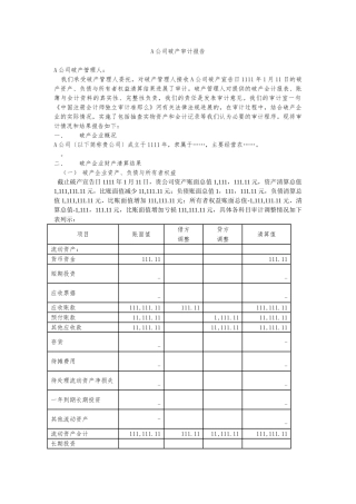 A公司破产审计报告