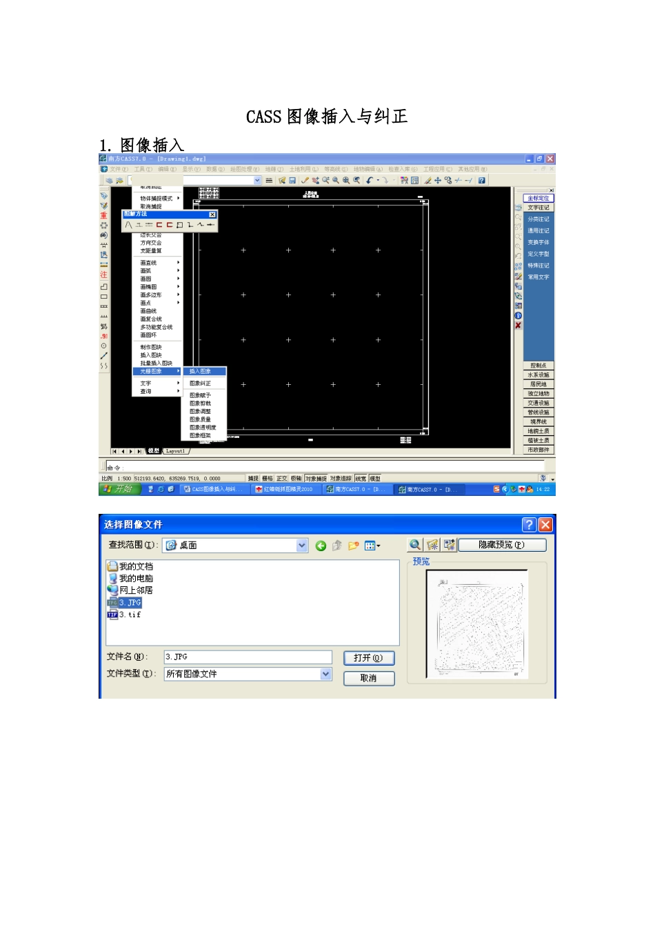 CASS图像插入与纠正_第1页