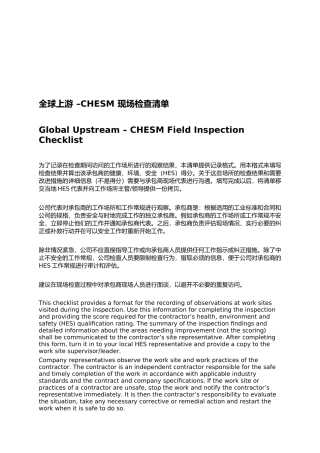 CHESM现场检查记录表