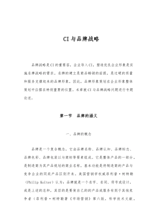 CI与品牌战略管理分析报告