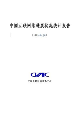 CNNIC第13次互联网管理知识报告