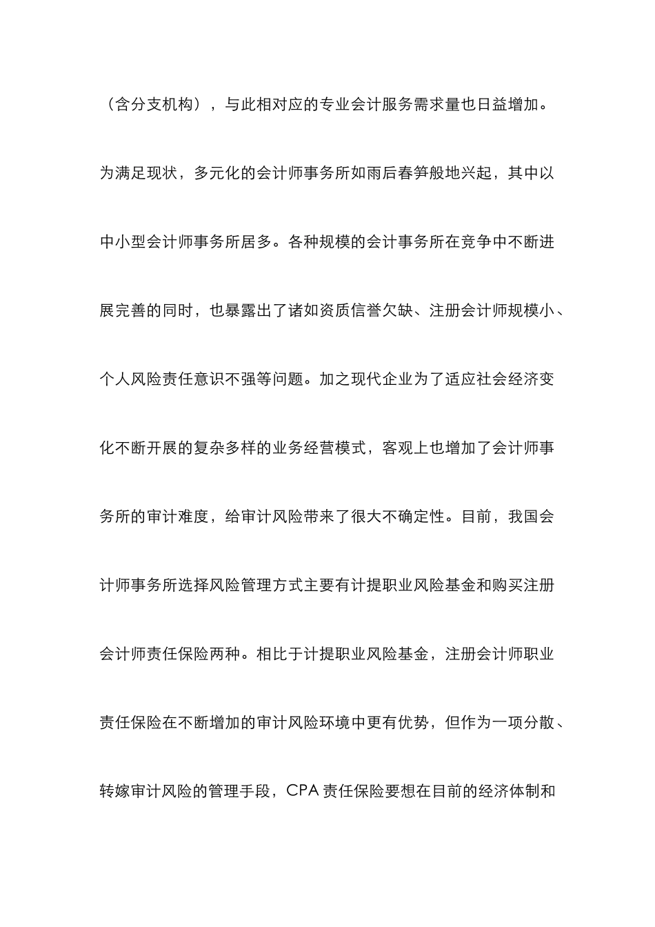 CPA责任保险审计风险探析_第2页