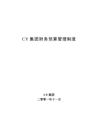 CY集团财务预算管理制度