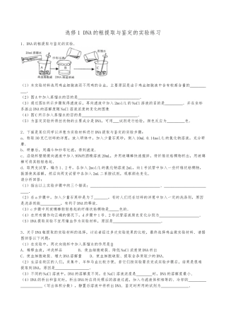 DNA的粗提取与鉴定的实验练习