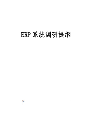 ERP系统调研提纲