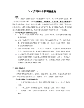 HR尽职调查报告