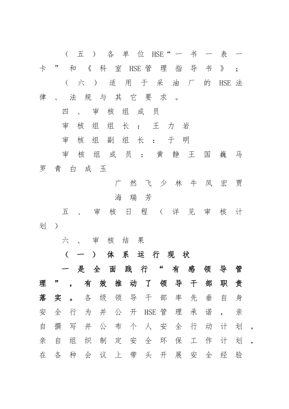 HSE管理体系年度专项审核报告_第3页