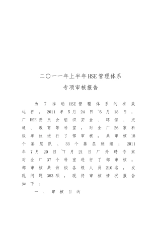 HSE管理体系年度专项审核报告