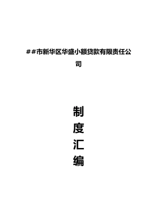 huasheng小额贷款公司制度