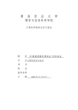 ip数据报解析源地址目的地址