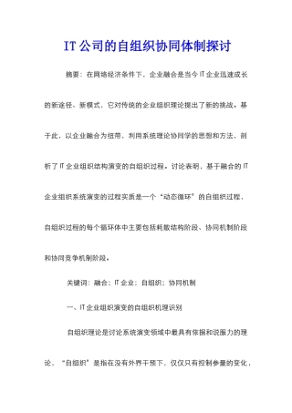 IT公司的自组织协同体制探讨
