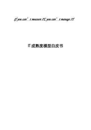 IT成熟度模型白皮书范本