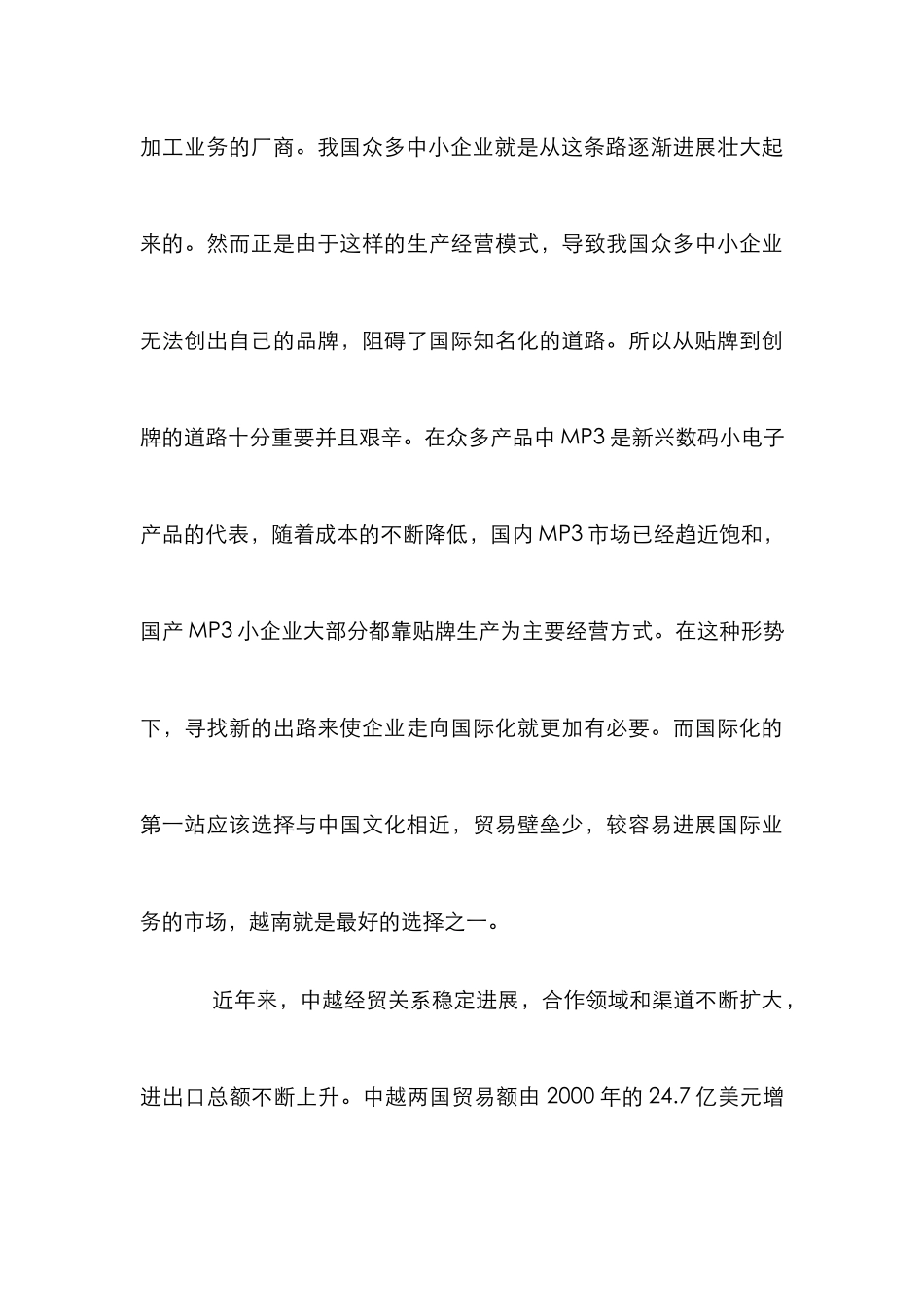 MP3企业立足越南市场论文_第3页