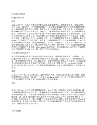 Netpecker公司商业计划书范例