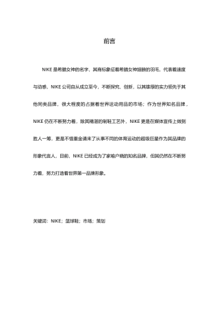 NIKE篮球鞋营销项目策划书