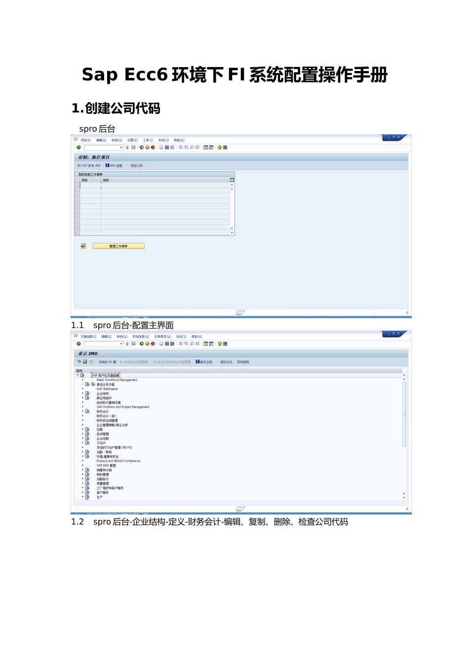 SapEcc6环境下FI系统配置操作手册范本_第1页