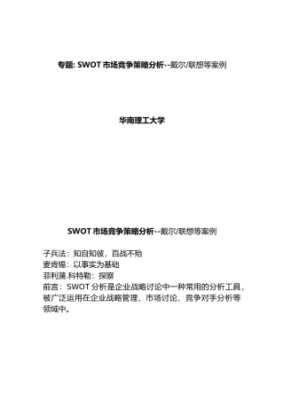 SWOT市场竞争策略分析报告