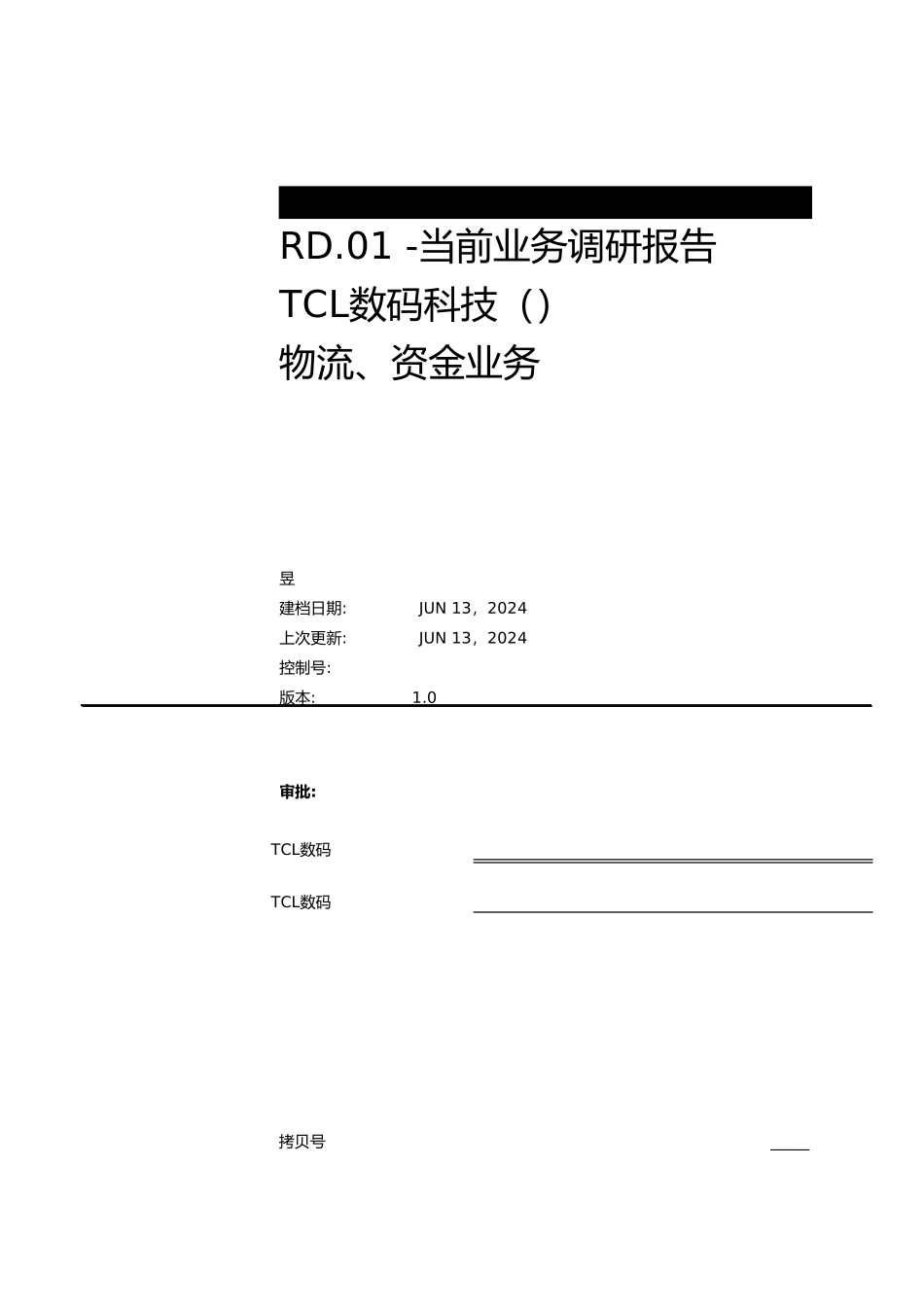 TCL数码公司当前业务调研报告范本_第1页