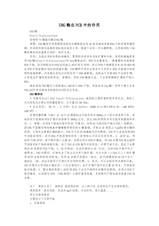 UNG酶在PCR中的作用