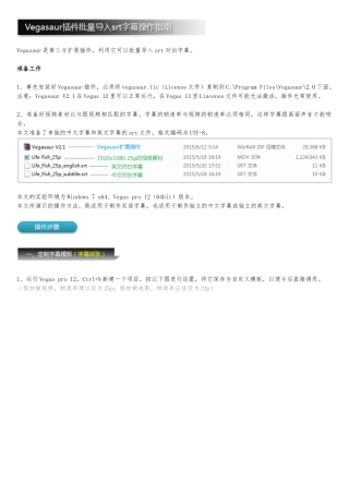Vegasaur插件批量导入srt字幕操作的指南