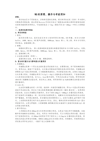 WB的原理、操作及注意事项