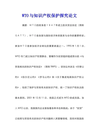 WTO与知识产权保护探究论文