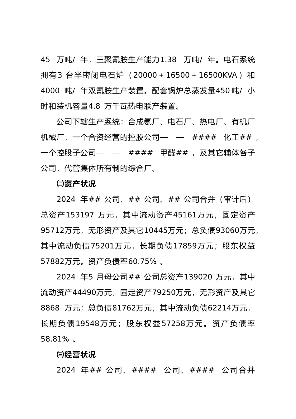 XXXX国有大型化工企业改革重组方案_第2页